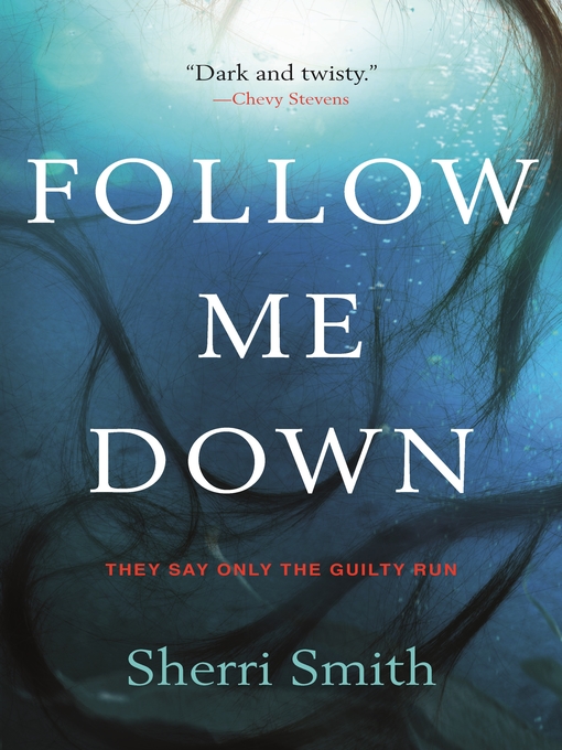 Title details for Follow Me Down by Sherri Smith - Available